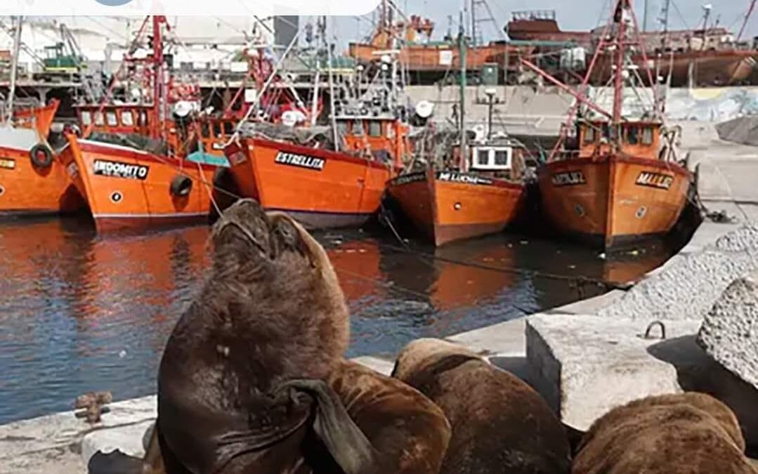 Villa Gesell Todo incluido